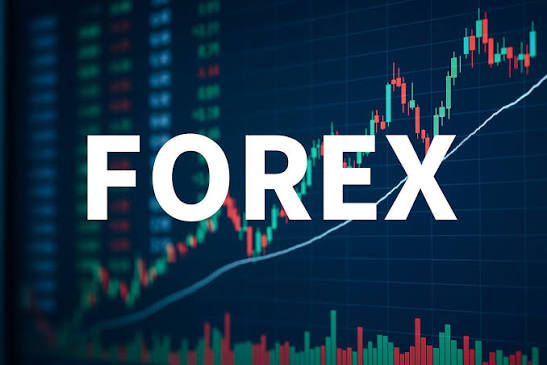 نرم افزار فارکس چگونه چک و نظارت میشود ؟